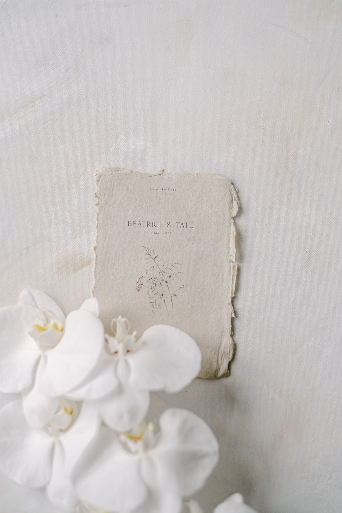 Beatrice Save the Date - Image 3