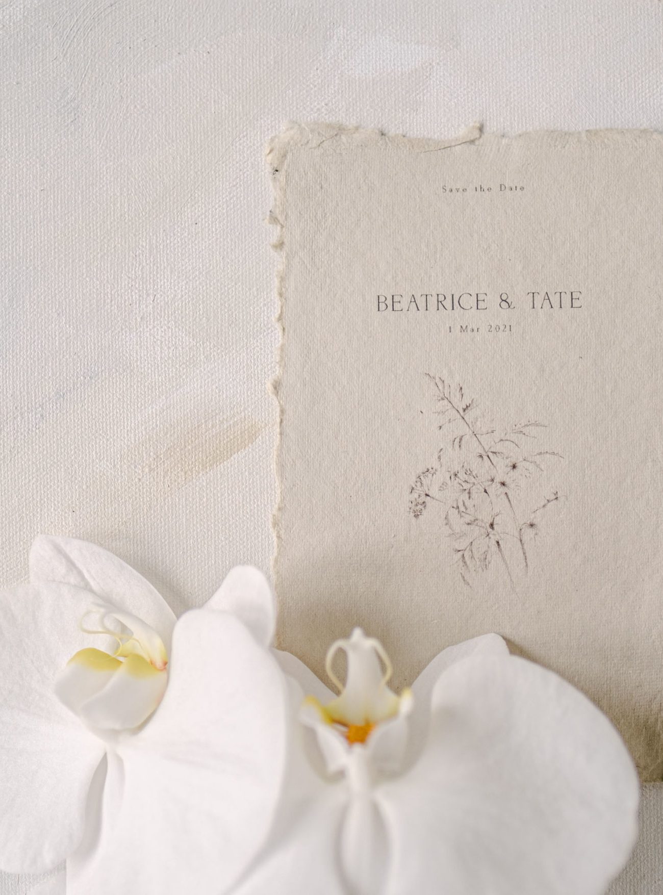Beatrice Save the Date - Image 5