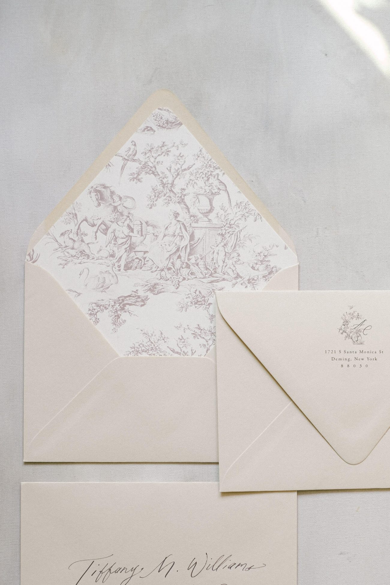 Toile de Jouy Old World inspired Envelope Liner